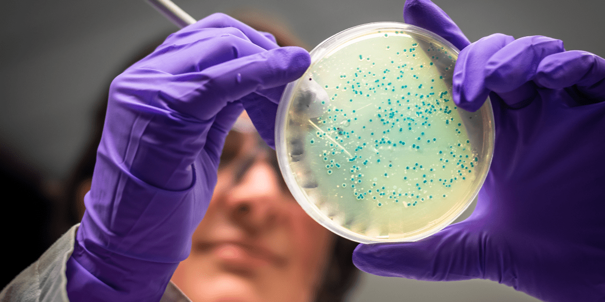 A microbiologist holding a culture plate