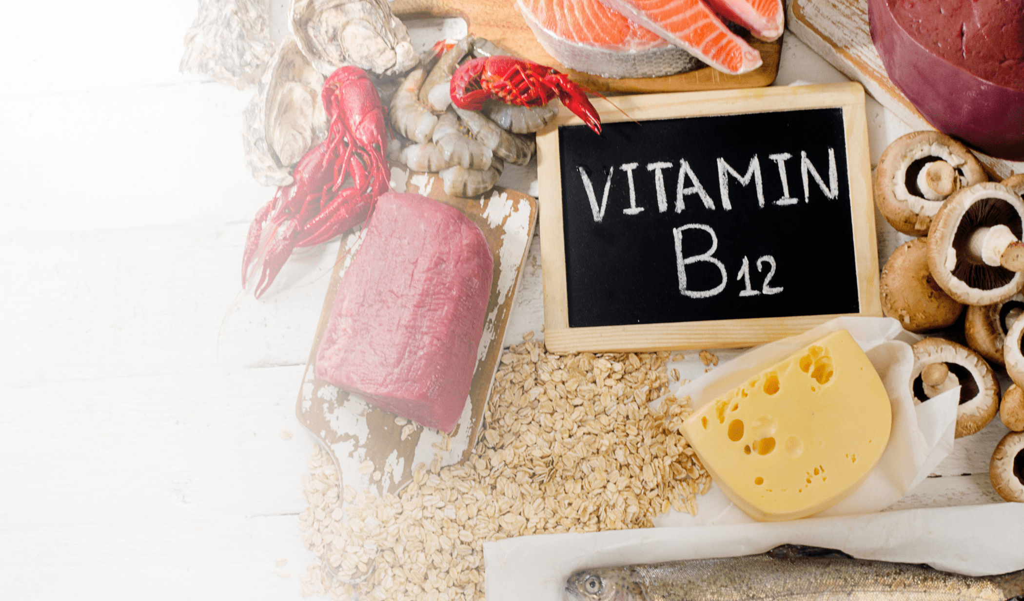 foods high in vitamin B12