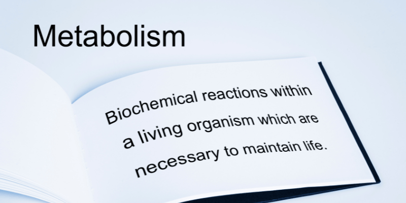 A book opened to a definition of metabolism.