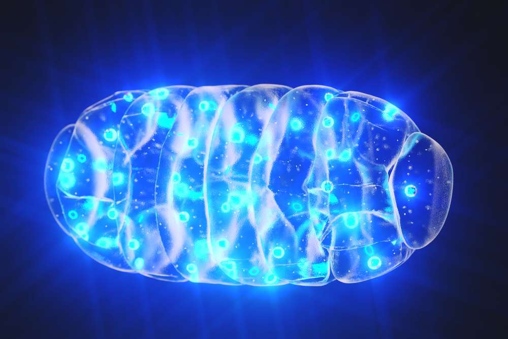 Glutathione Before and After effects in the body