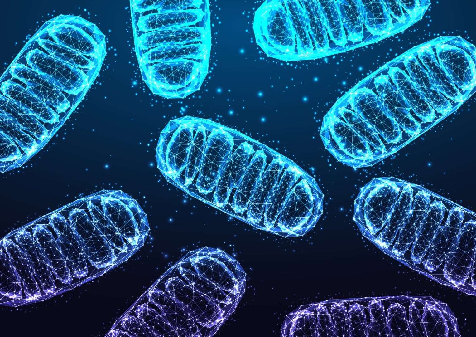 Glutathione Supplementation in the mitochondria
