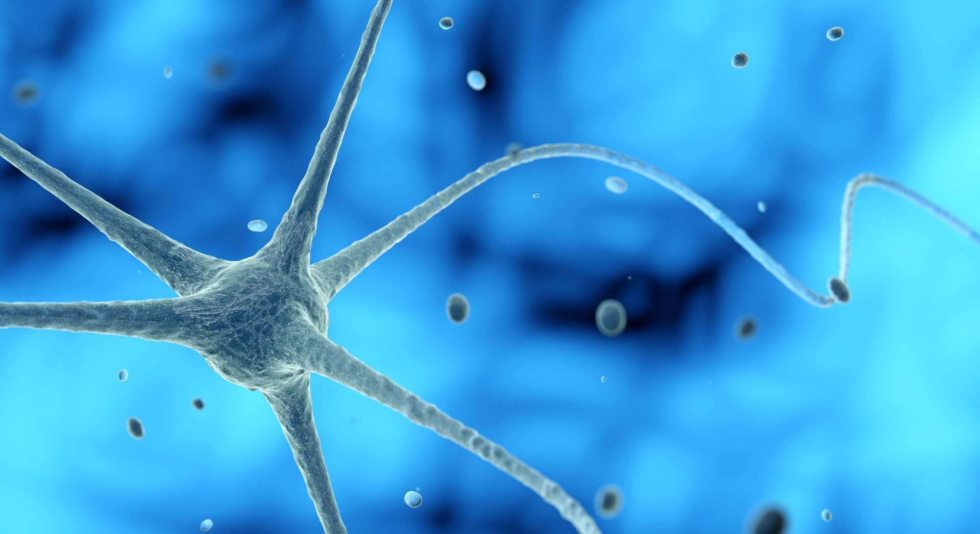 Nerve cell in a blue background